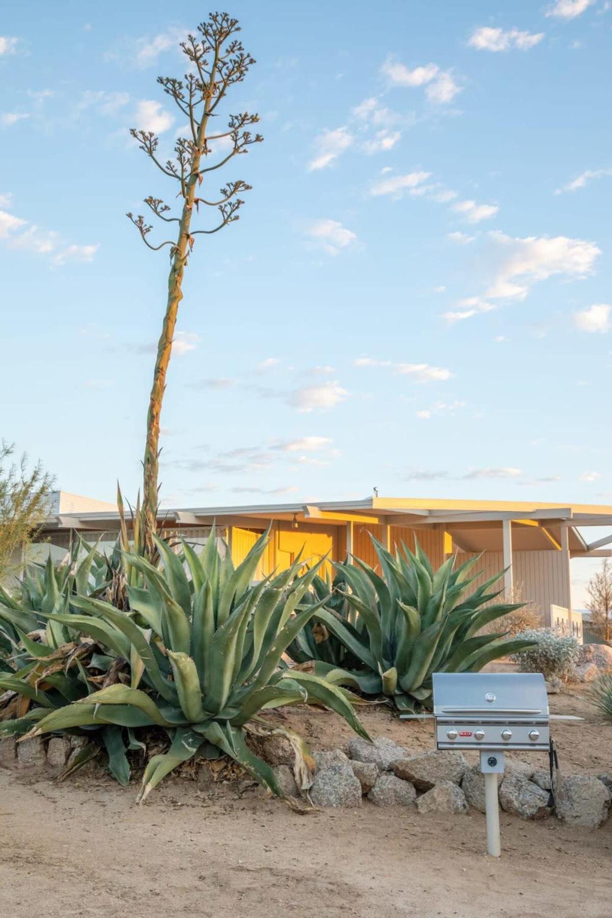 The Bungalows By Homestead Modern Joshua Tree Luaran gambar
